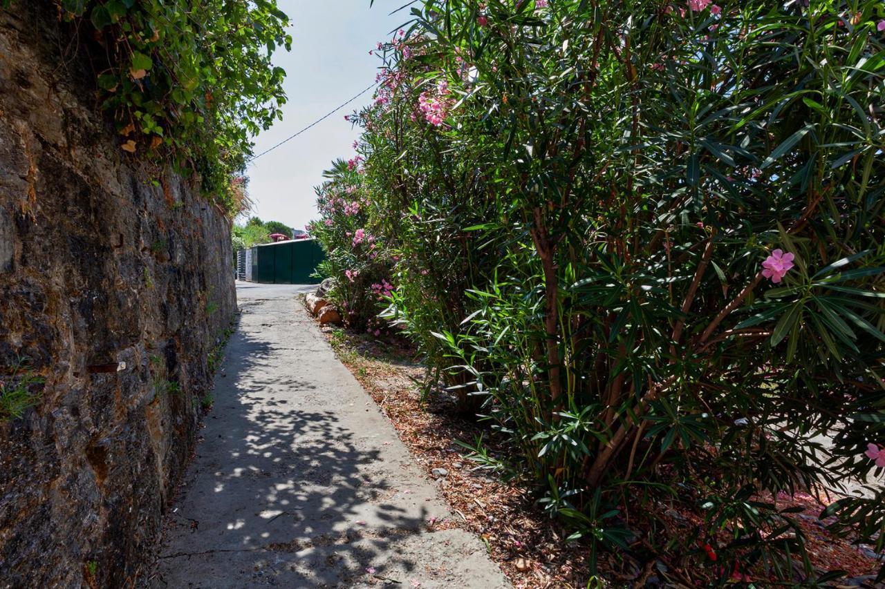 Casa Gretemma Leilighet Rapallo Eksteriør bilde